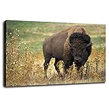 SSDDKL AMERICAN BISON Wall Art Canvas Prints Poster