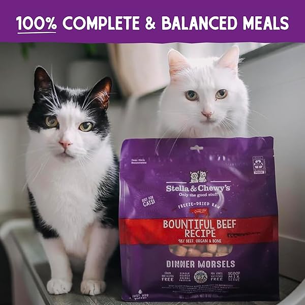 STELLA & CHEWY’S FREEZE-DRIED RAW CAT DINNER MORSELS – PREMIUM BEEF RECIPE WITH 98% GRASS-FED MEAT & ORGANS – NATURAL GRAIN-FREE CAT & KITTEN FOOD – MADE IN USA – 3.5 OZ