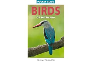Pocket Guide Birds of Botswana