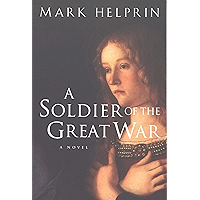A Soldier of the Great War book cover