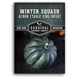 Table King Acorn Squash Seed for Planting - 1