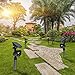 Sunba Youth Solar Lights, Outdoor Solar Spotlights, 2-in-1 Waterproof Landscape Light Adjustable Wall Light, 4 LED Security Lighting, Auto On/Off Yard Garden Driveway Pathway Lawn Pool