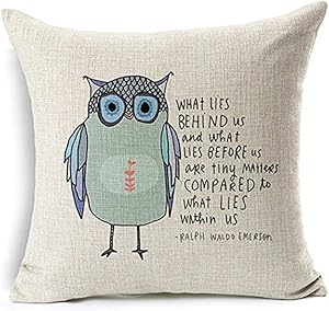 Aremazing Cartoon Animal Cotton Linen Home Decor Pillowcase Throw Pillow Cushion Cover 18 x 18 Inches (Cute Owl Sayings)
