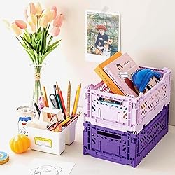 Aykasa Collapsible Storage Bins, Plastic Crate for