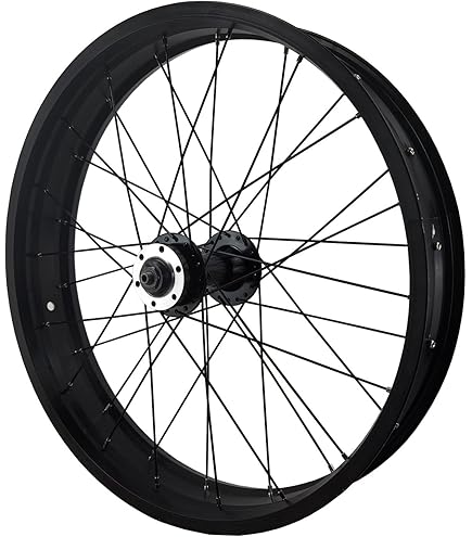 Amazon.com: LvTu Fat Tire Bike Front Wheel 26 X 4.0 inch HB20/MA23