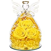Beferr Valentines Day Rose Gifts for Her Women Mom Gifts for Birthday, Fresh Flowers for Delivery Forever Preserved Rose in Glass Angel Figurine, for Grandma Wife Daughter Girlfriend
