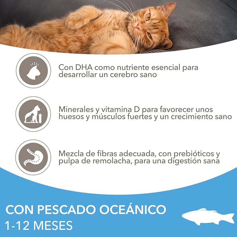 Alimento Seco para Gatitos de 1-12 Meses, Pescado oceánico, 10 kg