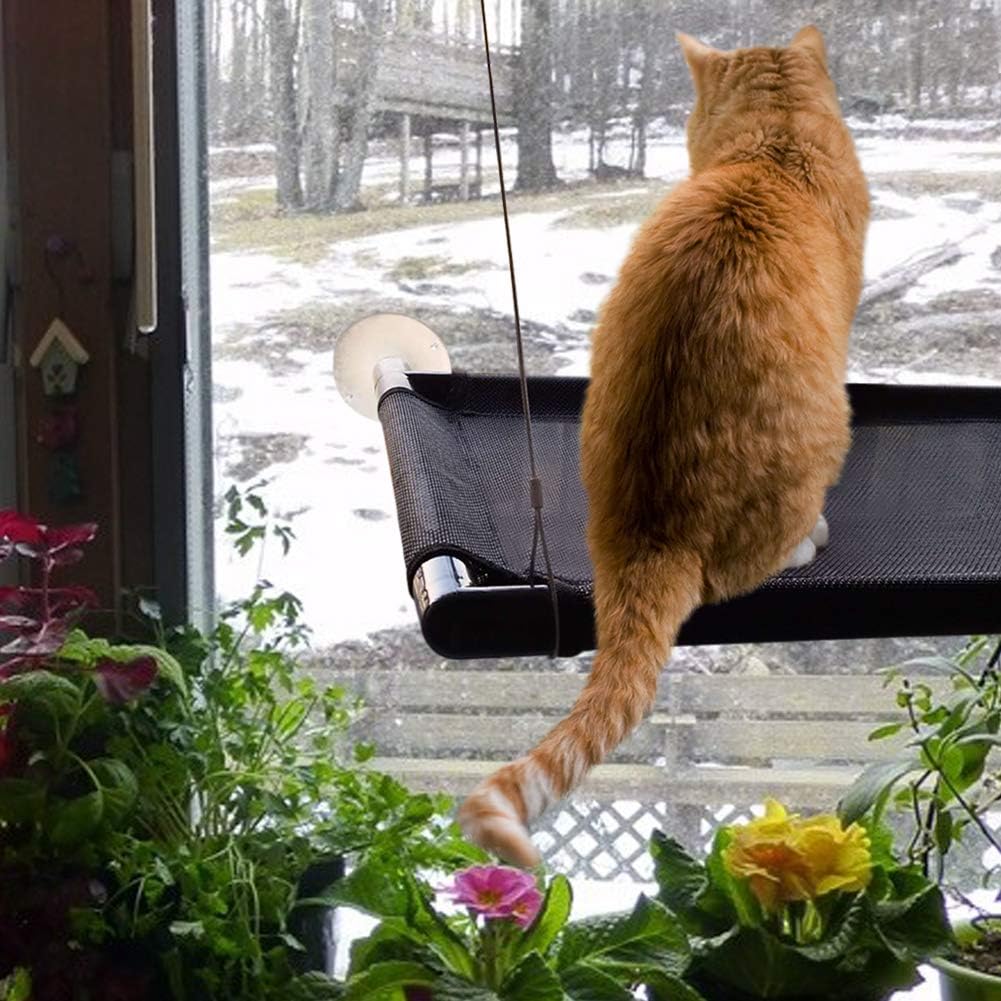 Cat Perch Cat Window Perch Window Cat Perch Hammock Cat Window Hammock Bed Cat Window Seat Kitty Window Sunny Seat Durable Big Pet Perch With Upgraded 4 Big Suction Cups Cat Bed Holds Up To 60lbs : Pet Supplies