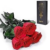 Yamonic Preserved Flowers Rose for Women Mom, Mom Birthday Rose Gifts for Mother, Real Flower Rose for Her, Grandma, Wife, Girlfriend Gifts on Valentine's Day, Mothers Day,Anniversary