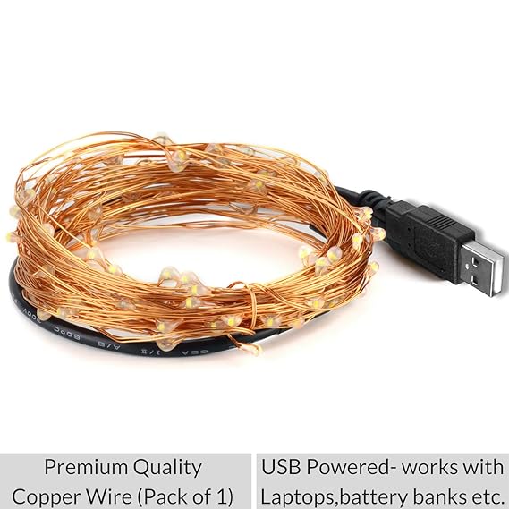 Mansaa Essentials - Copper Fairy String USB LED Light for Home Decoration, Party & Wedding Decoration, Kids Room, Night Lights, Diwali & Christmas Lights, Garden & Balcony Decoration (10m Lights + 1m USB Cable, 100leds, Warm White, Pack of 1)