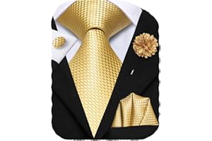 Hi-Tie Men's Silk Tie Set Formal Woven Necktie Pocket Square Cufflinks Lapel Pin Set for Wedding Business