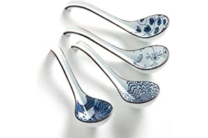 Hoilse Asian Soup Spoon Set of 4, Ceramic Chinese Ramen Spoon, Long Handle Perfect Depth for Dumpling, Pho, Noodles, Japanese