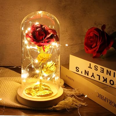 ADAZ 24K Eternal Rose in Glass Dome with LED Light for Her Gift