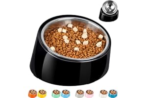 Petvillage Tilted Dog Bowl Non-Slip & Non-Spill Pet Feeder with Elevated Detachable Melamine Stand, Easy to Get Food Dog Dish, S/0.5 Cup Black
