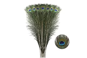 Larryhot Natural Long Peacock Feathers - 40pcs 23-28 inches for Floral Arrangements, Wedding, Home and Party Decorations