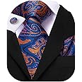 Dubulle Mens Paisley Striped Tie WOVEN Necktie for Men and Handkerchief Cufflinks Set Wedding Formal Business