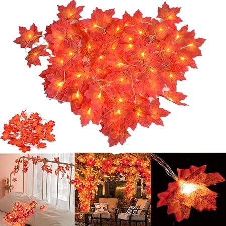 Amazon Com Fall Decor Vikasi Thanksgiving Decorations Lighted