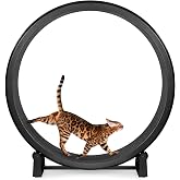 One Fast Cat Exercise Wheel, Gen 7, Safe 48&rdquo; Diameter, Made in the USA | Black Wheel with Black Felt Traction Pads and Solid Inline Wheels