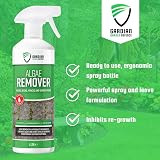 Gardian Algae Remover 1 Litre – Fast Acting Patio Cleaner view 2