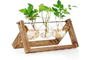 Foosibo Propagation Stations, Air Plant Terrarium Bulb Vase with Wooden Stand, Plant Propagation Station for Indoor Hydroponi