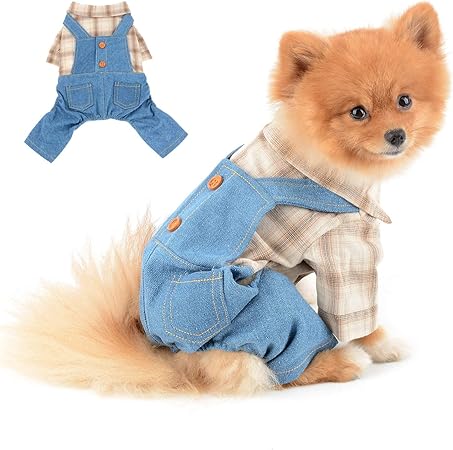 male dog outfits