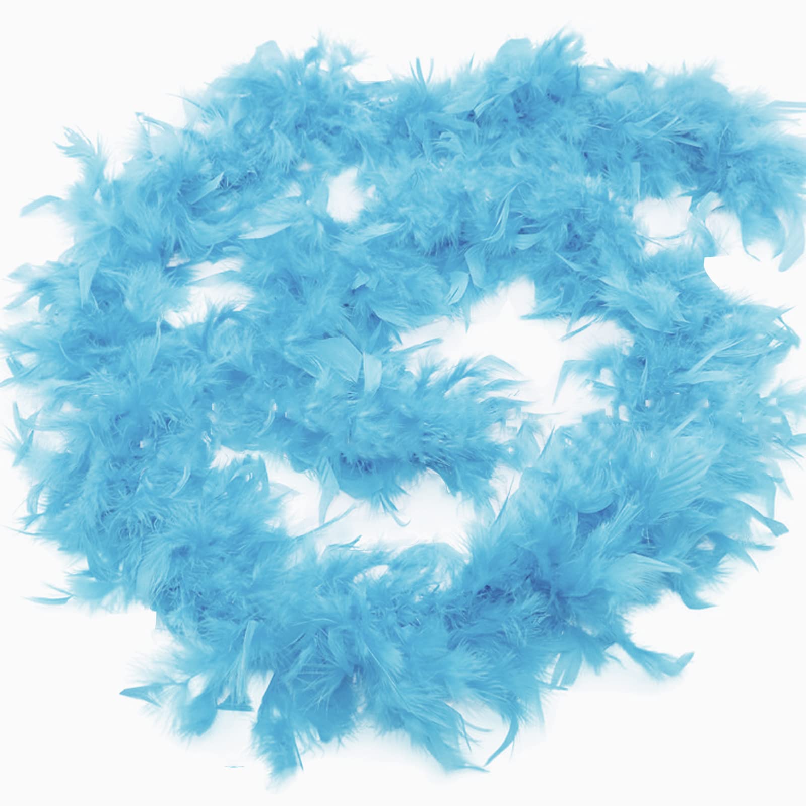 Anjing 2 Pcs Feather Boa for Women 2M Feather Boas for Crafts Party Supplies Girls Dress up Costume Light Blue