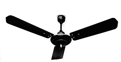 Buy Cinni 48 Regular Ceiling Fan Black Online At Low Prices In