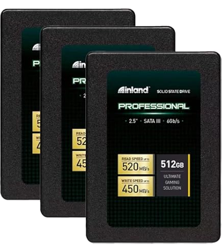 Amazon.com: INLAND Platinum 3 Pack 256GB SSD SATA III 6Gb/s 2.5