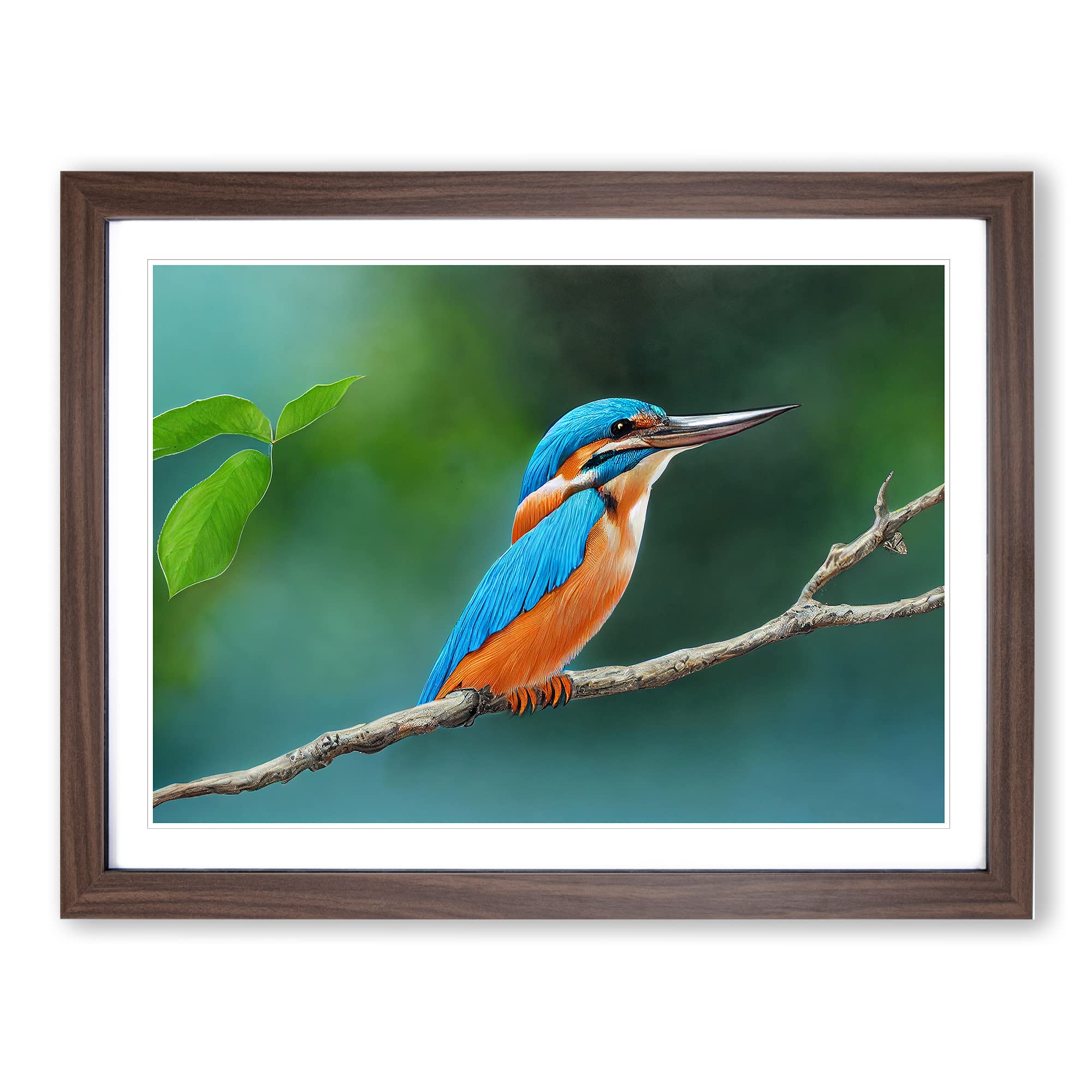 Evocative Kingfisher Bird Framed Print | A4 Walnut Framed Wall Art | Ready to Hang | Modern Nature Picture | Living Room Bedroom Lounge Office