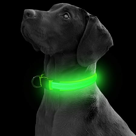 glow leash for dogs