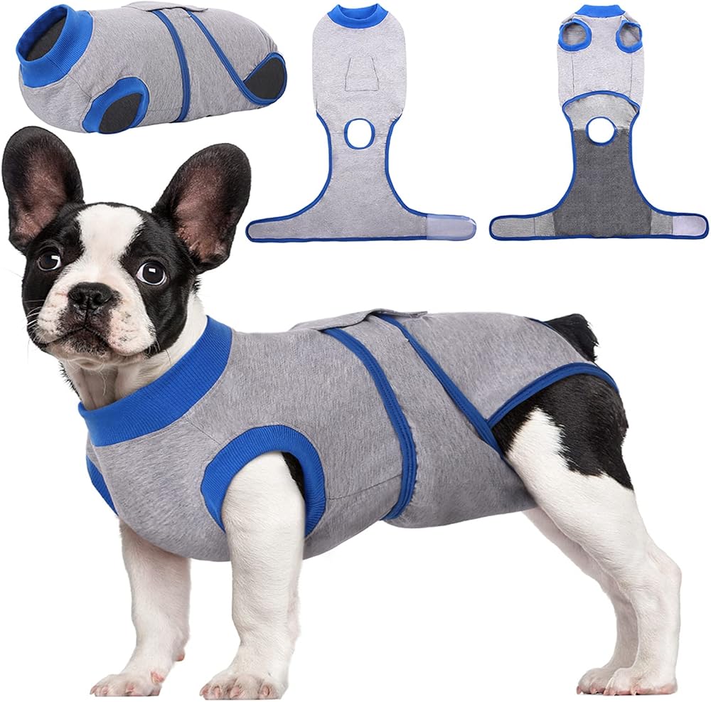 Kuoser Dog Recovery Suit Soft Post-Op Abdominal Protection XS Grey