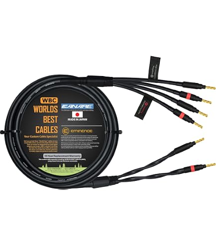 Amazon.com: WORLDS BEST CABLES 20 Foot - Canare 4S11 – Audiophile