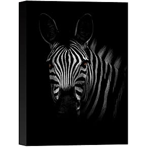 SIGNWIN Canvas Wall Art Headshot of a Zebra...