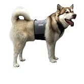 CoolerDog Dog Cooling Vest &amp; Cooling Collar &ndash; Ice Vest for Hot Weather Heat Relief, Re-Freezable Pure Water Inserts (Large 27&rdquo;&ndash;34&rdquo; Girth)