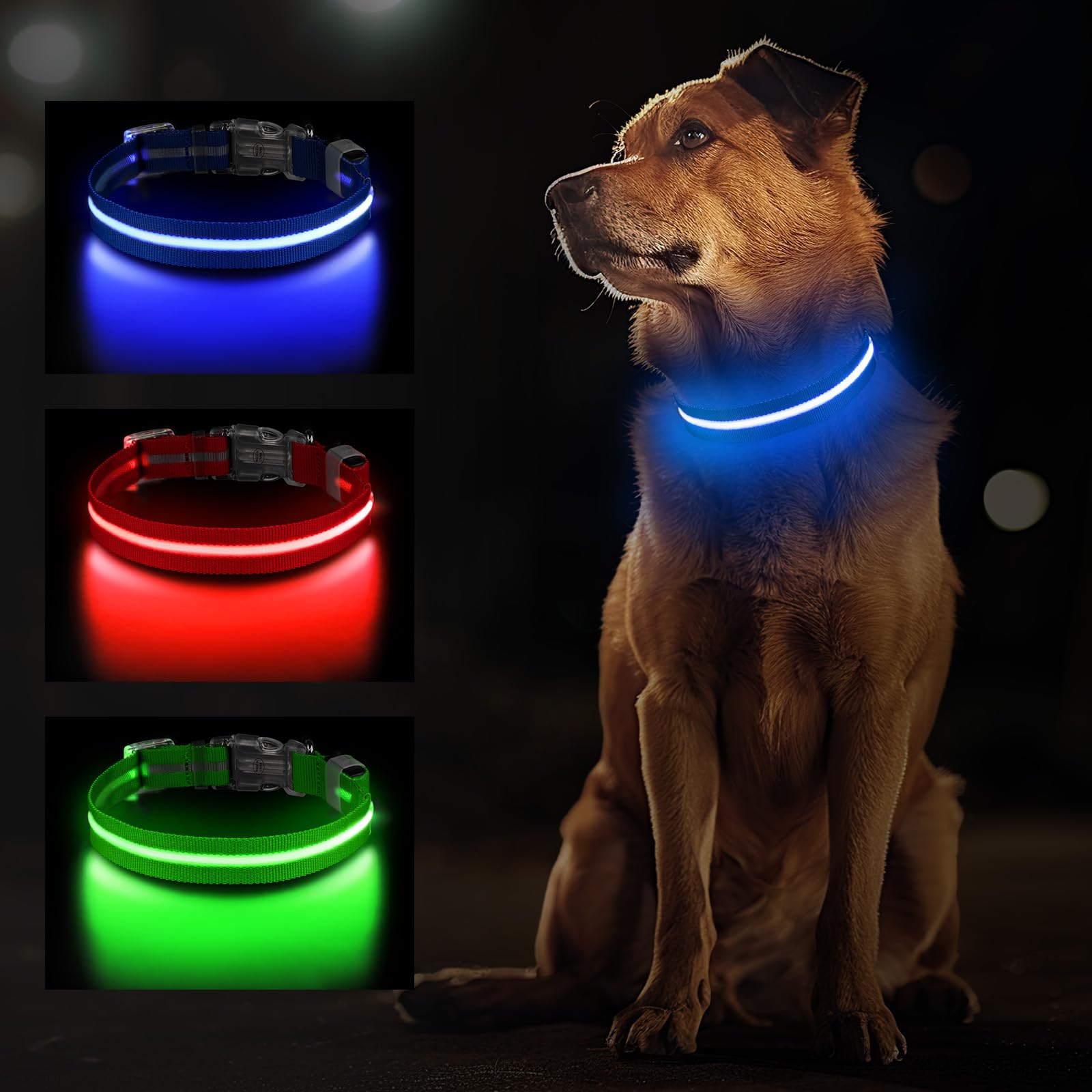 Jewyow Light Up Dog Collar, Rechargeable LED Dog Collar for Small Medium Large Dogs, Adjustable Dog Collar Light for the Dark with Waterproof, 3 Modes, Blue-S — image 1
