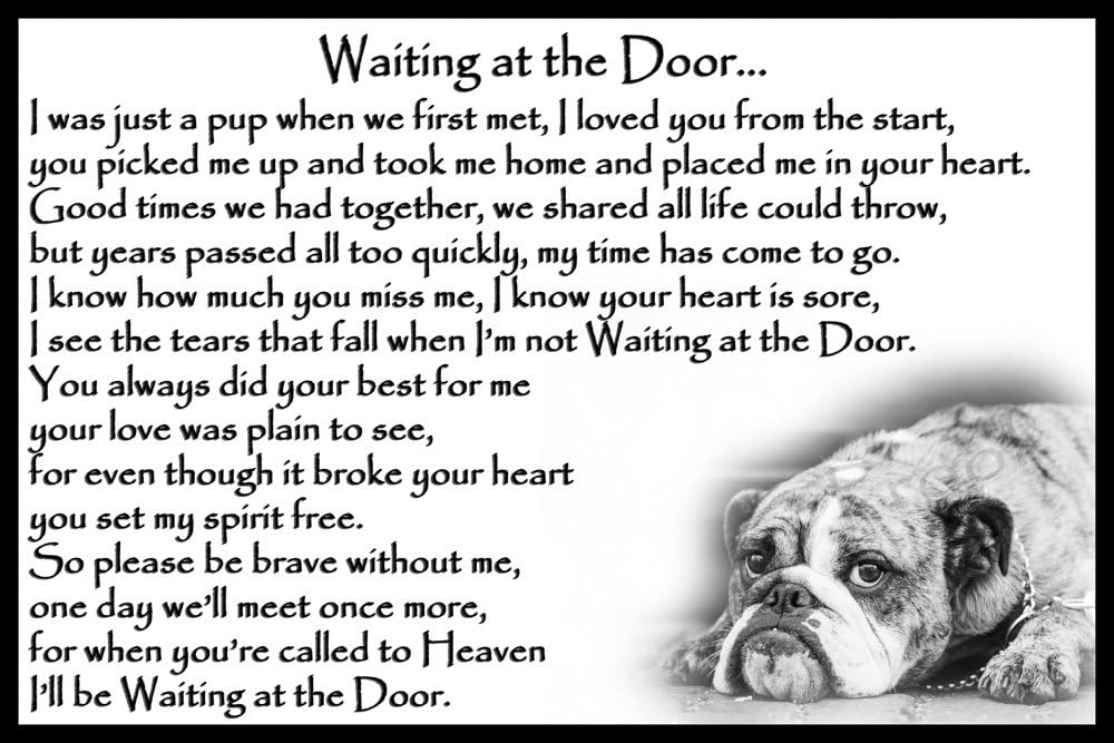 petco reptiles for sale