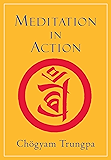 Meditation in Action