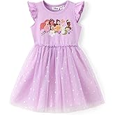Disney Frozen Elsa Princess Cinderella Ariel Jasmine Rapunzel Baby/Toddler Dress, Ruffle Long-Sleeve Mesh Overlay Tulle Dress