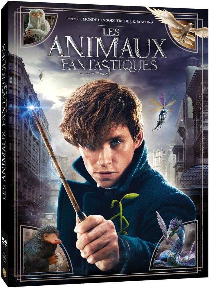 Les Animaux Fantastiques 2 Amazon Prime Les Animaux fantastiques - Le monde des Sorciers de J.K. Rowling - DVD