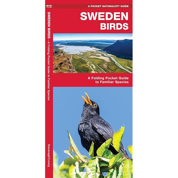 Amazon.com: Birds and Their World: 9780600314134: Andrews, John: 圖書