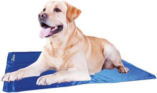 dog cool mats amazon