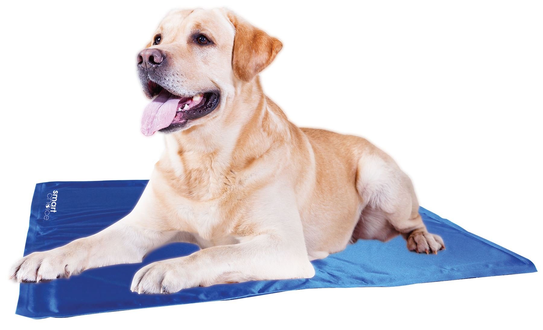 window hammock for dogs