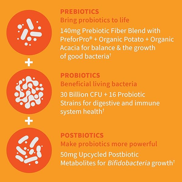 GARDEN OF LIFE DR FORMULATED ONCE DAILY 3-IN-1 COMPLETE PROBIOTICS, PREBIOTICS & POSTBIOTICS – PRE + PRO + POSTBIOTIC SUPPLEMENT FOR ADULTS’ DIGESTIVE & IMMUNE HEALTH, 30 BILLION CFU, 30 DAY SUPPLY