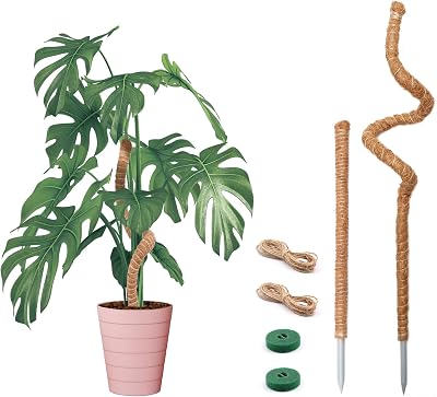 Yizerel Bendable Moss Pole 25in 48in for Monstera Climbing Plants 2 Pack