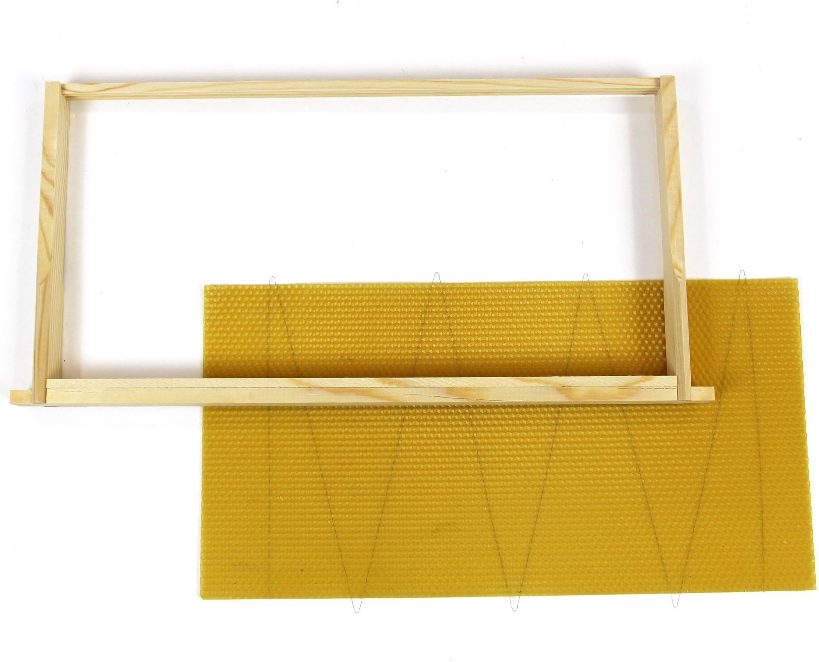 EasibeeLangstroth Beehive Wired Wax Foundation Sheets and Frames (Brood x 10 pcs)
