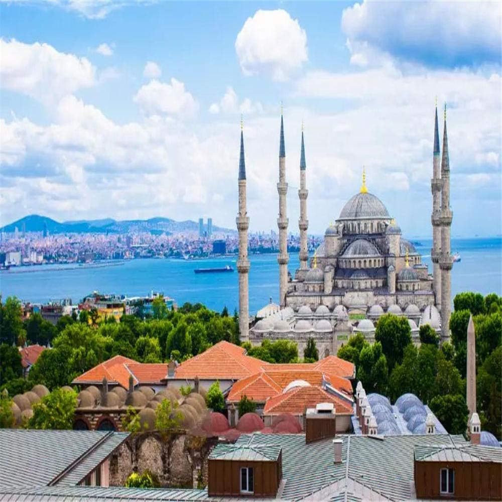 OKOUNOKO Diy Pre-Printed Canvas Oil Painting Gift，Sultan Ahmed Mosque，For Adults Kids With Brushes Without Frame，Home Decorations，40X50 Cm