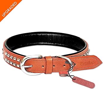 PetsUp Studded Dog Collar Neck Belt 1 pc. for Neck Size 22-25 inches (Large, Tan)