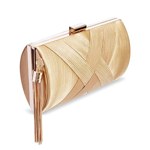 Womens Evening Clutch Bag Designer Evening Handbag Hand Bag,Lady Party  Wedding Clutch Purse (Elegant Tassel-Go