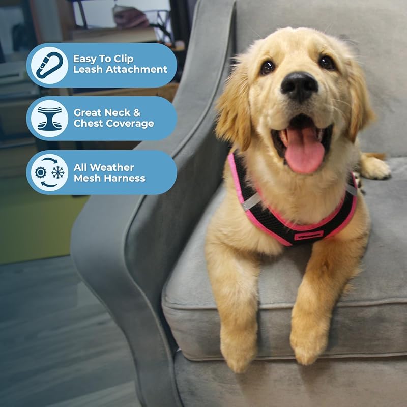 Voyager Step-in Air - Arnês de malha para todas as condições meteorológicas e trela refletora de 5 pés com pega em neoprene, para cães pequenos, médios e grandes, borda preta/rosa, tamanho S