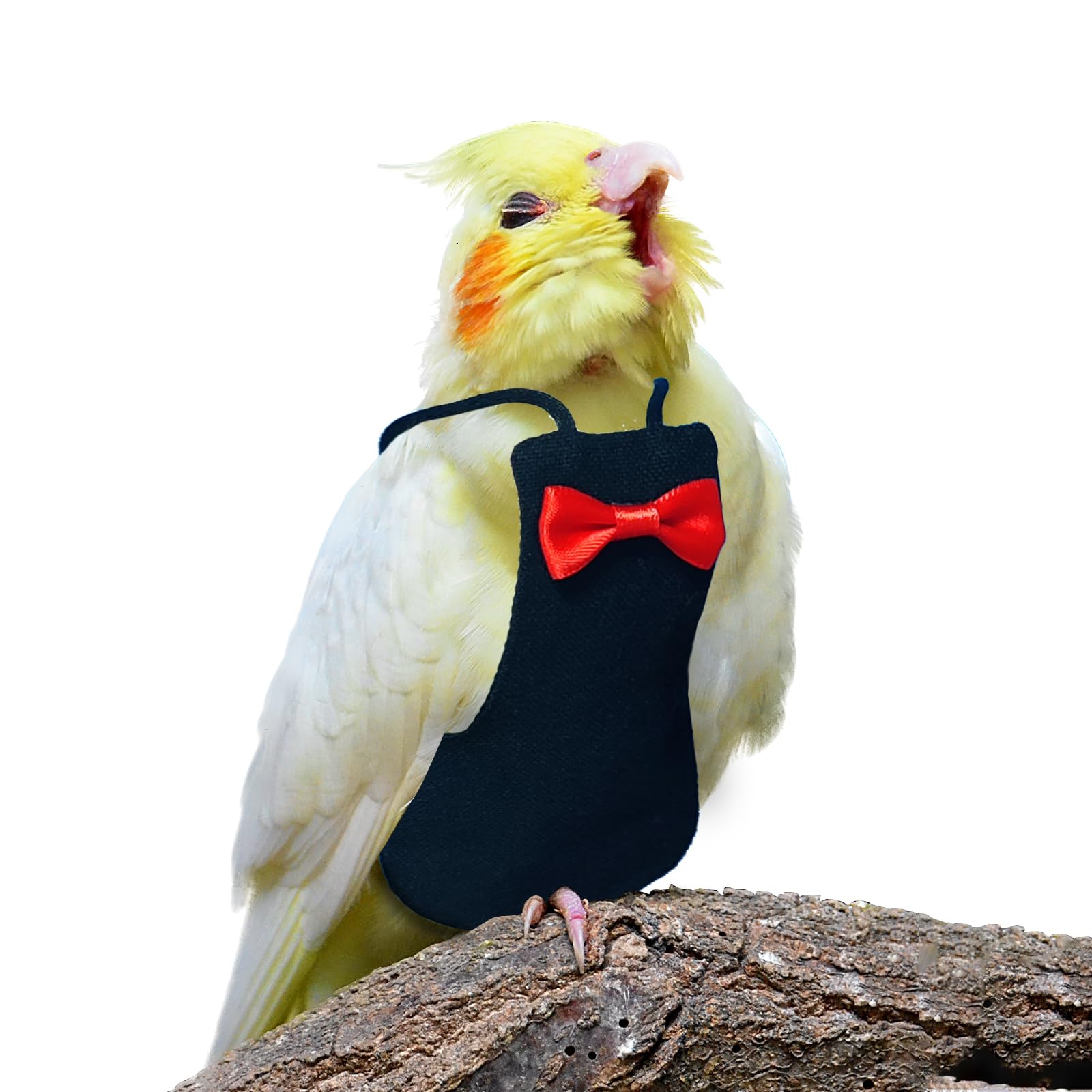 Photo 1 of XQIGI Bird Diaper Washable Reusable Parrot Diapers Flight Suit Nappies Protective Breathable Parrot Nappy Clothes for Parakeet, Macaw, Budgie, Canary, Cockatiel (Black, Medium)